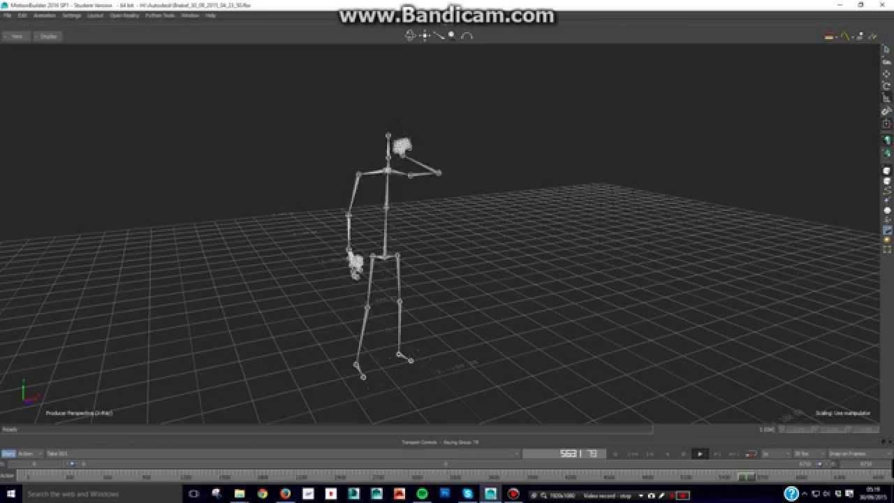 Motion Capture initial look