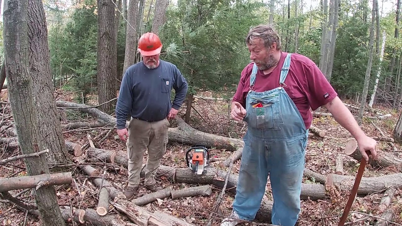 erik nelson visits cutting and splitting oak