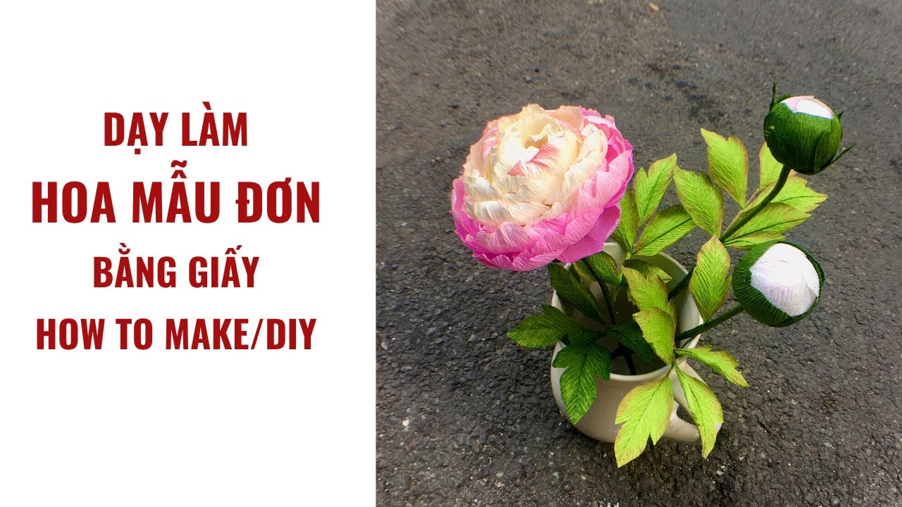 Dạy làm hoa Mẫu Đơn bằng giấy nhún, How to make Peony with crepe paper | Giáng Sinh Handmade