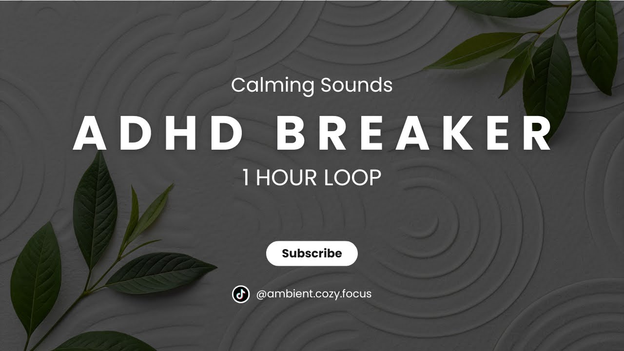 ADHD Breaker 1 Hour of Complete Silence
