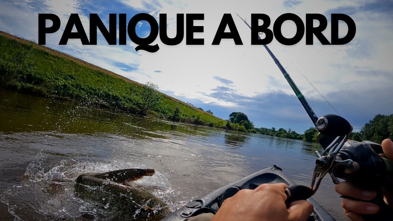 Je ne M'ATTENDAIS PAS à ça en pêchant ce POISSON ! Pêche du silure en kayak
