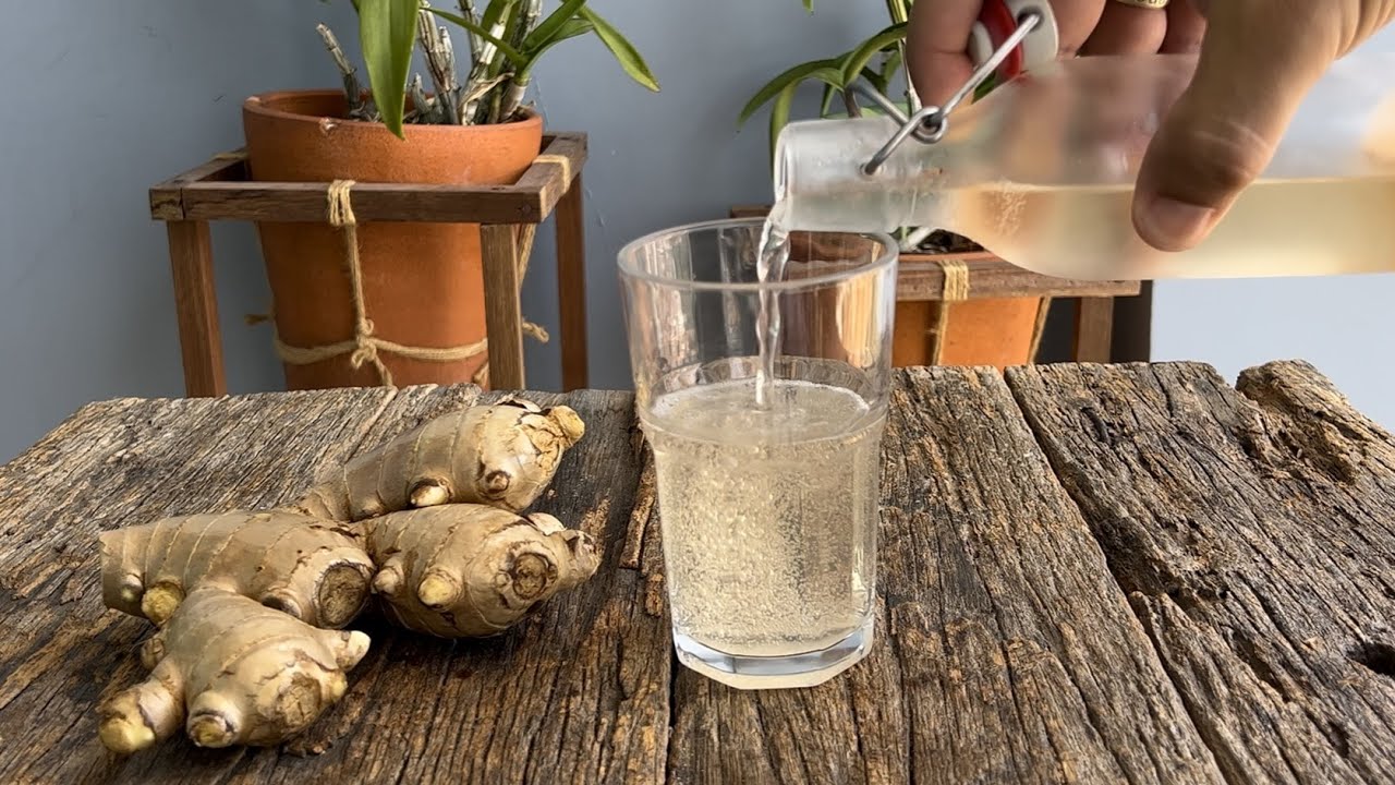 Ginger Beer Homemade - How to Make Ginger Beer easy recipe gluten free