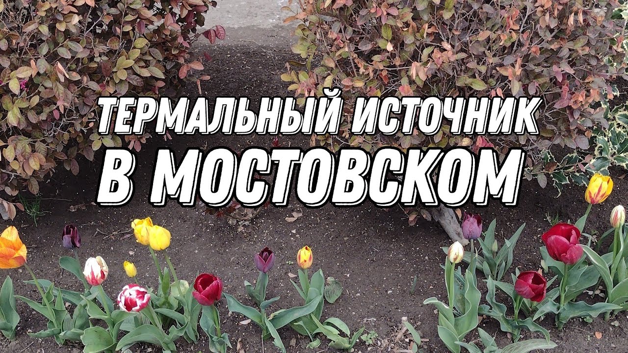 ТЕРМАЛЬНЫЙ ИСТОЧНИК 