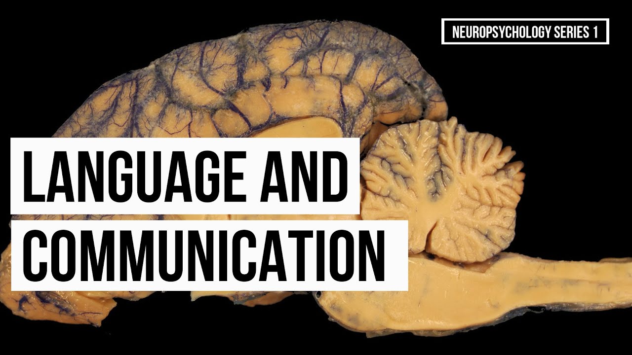 Language and Communication (Series 1)