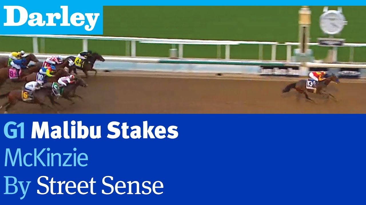 McKinzie by Street Sense wins the G1 Malibu Stakes at Santa Anita