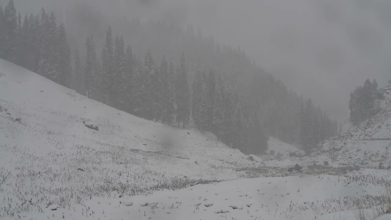 Snowing in Kashmir # 1