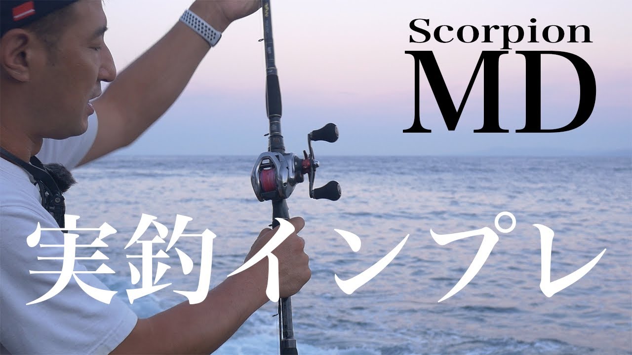 スコーピオンMDを1日ショアジギングで使ってみた感想