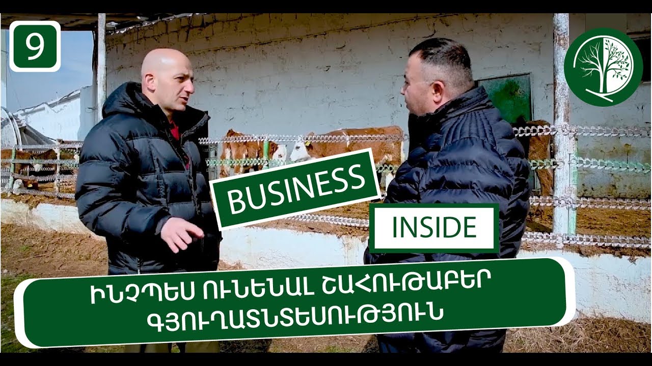 Ինչպես ունենալ շահութաբեր գյուղատնտեսություն, Արզնի տոհմական ֆերմա | Business inside 9