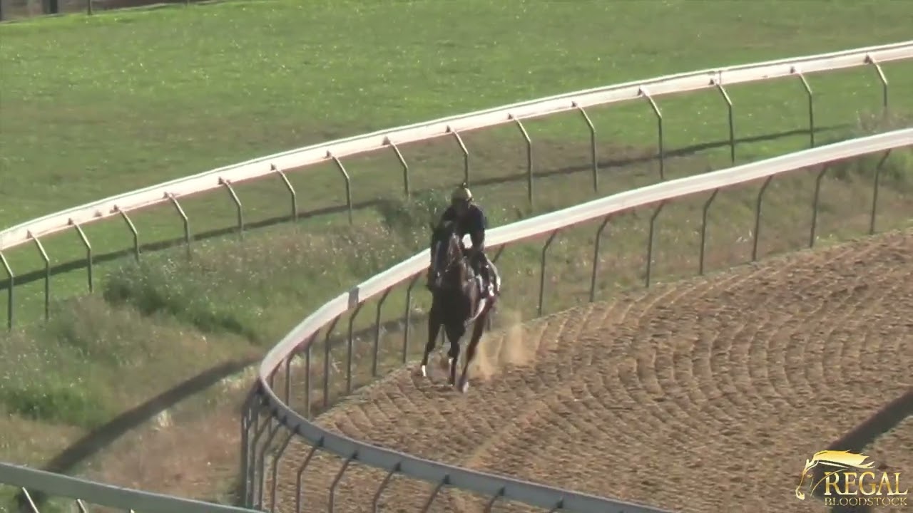 Обновление Regal Visions I 012726