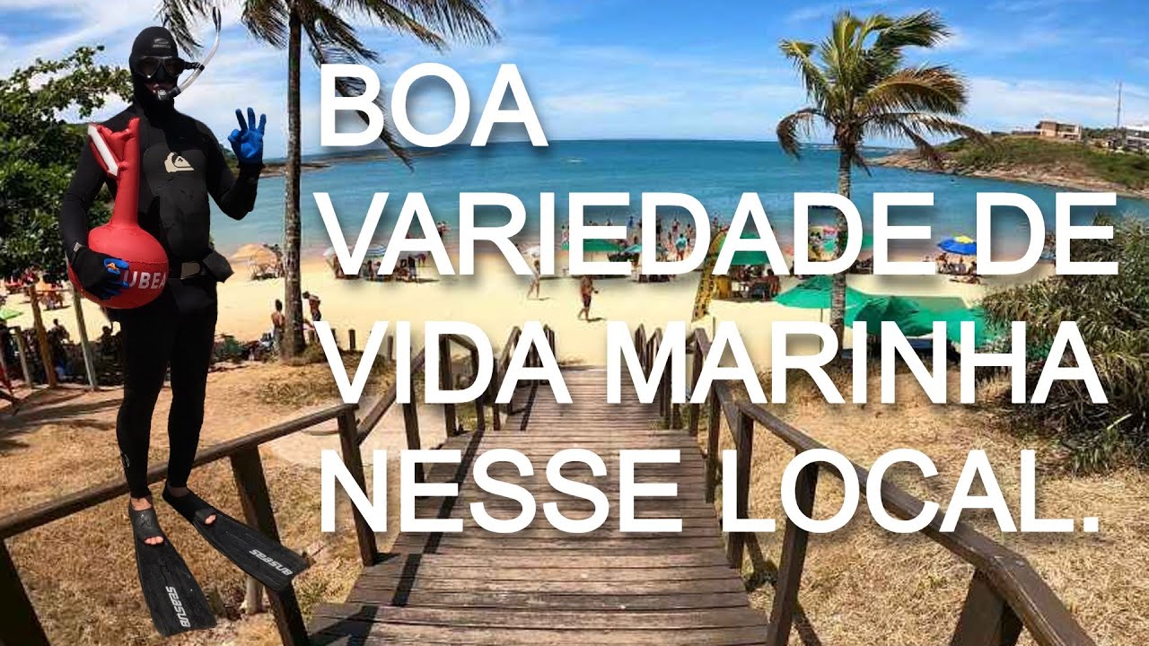 Mergulho na praia da Bacutia - Guarapari ES / Snorkeling Diving in Brazil