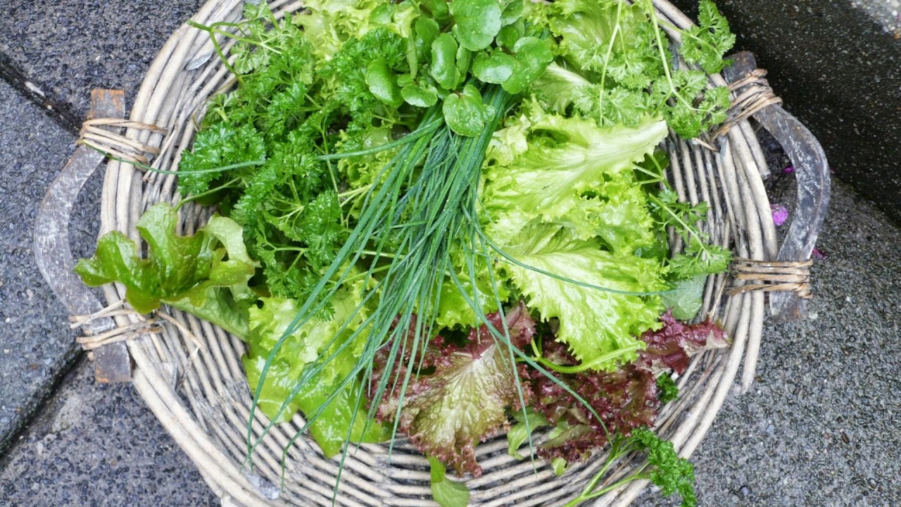 Moestuin in een beperkte ruimte