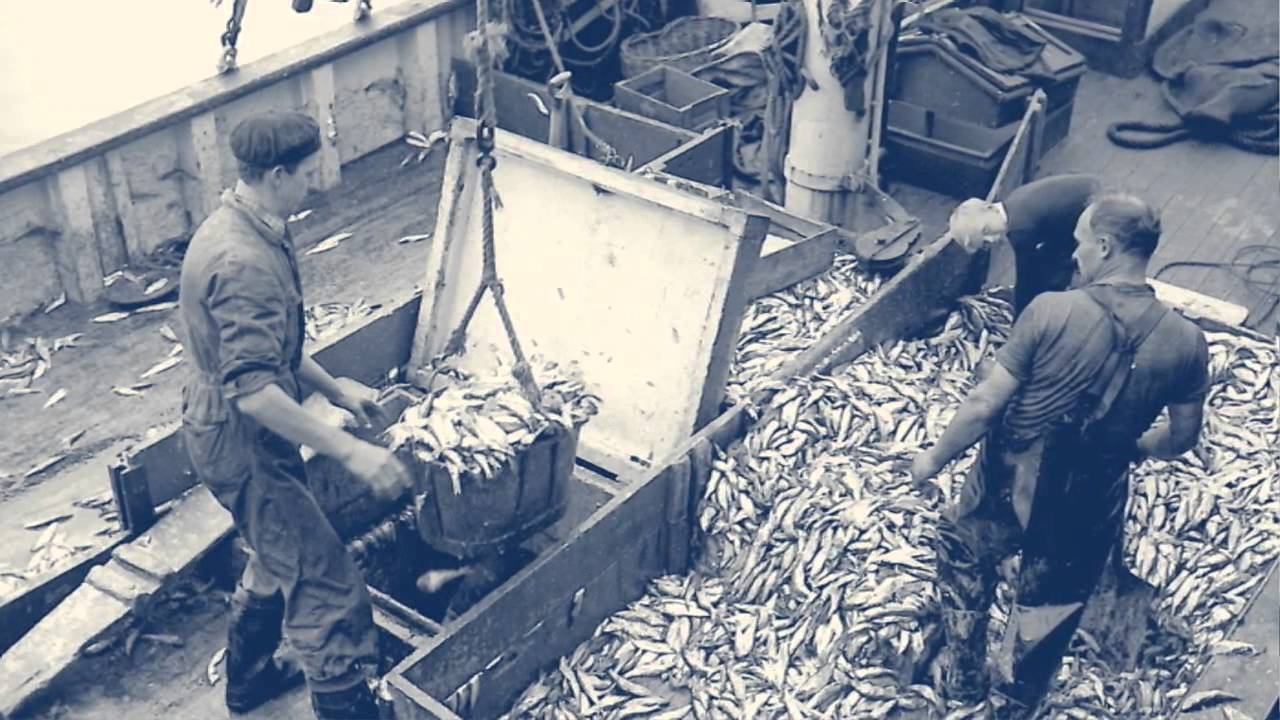 Fiskeriet i Esbjerg 5 - Fiskeriets mænd