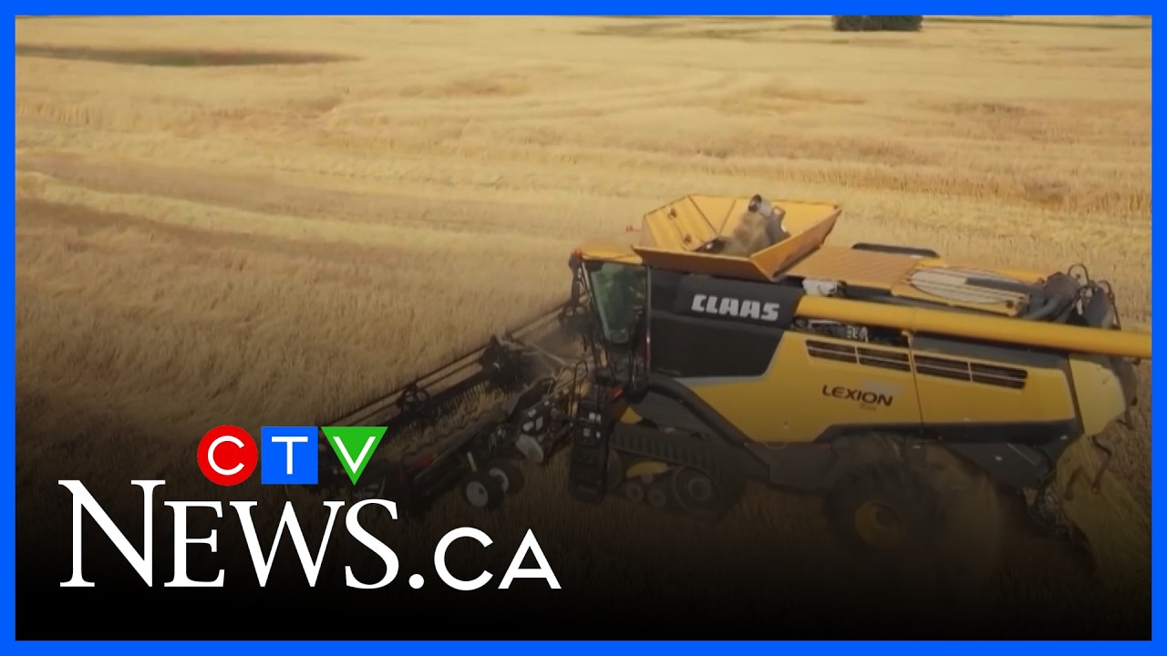 Farmers, grocery store owners bracing for cost increases as oil prices rise