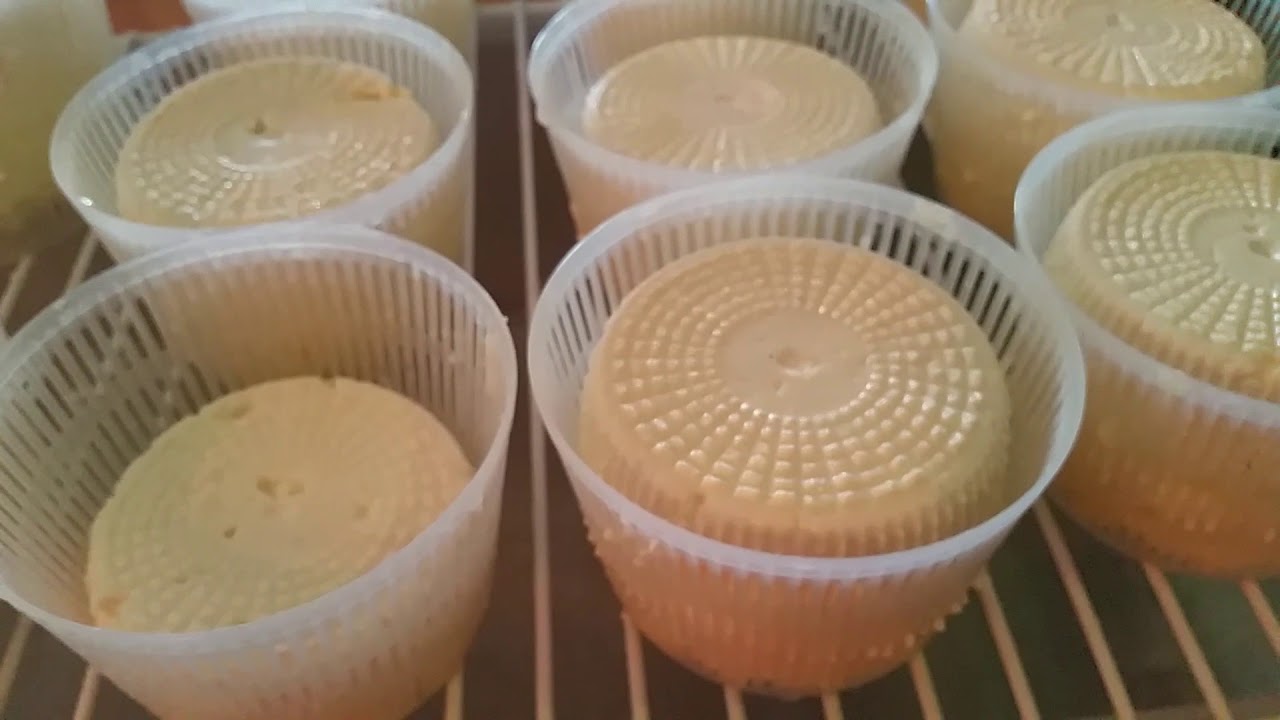 Tuto comment faire ses fromages au lait cru de vache