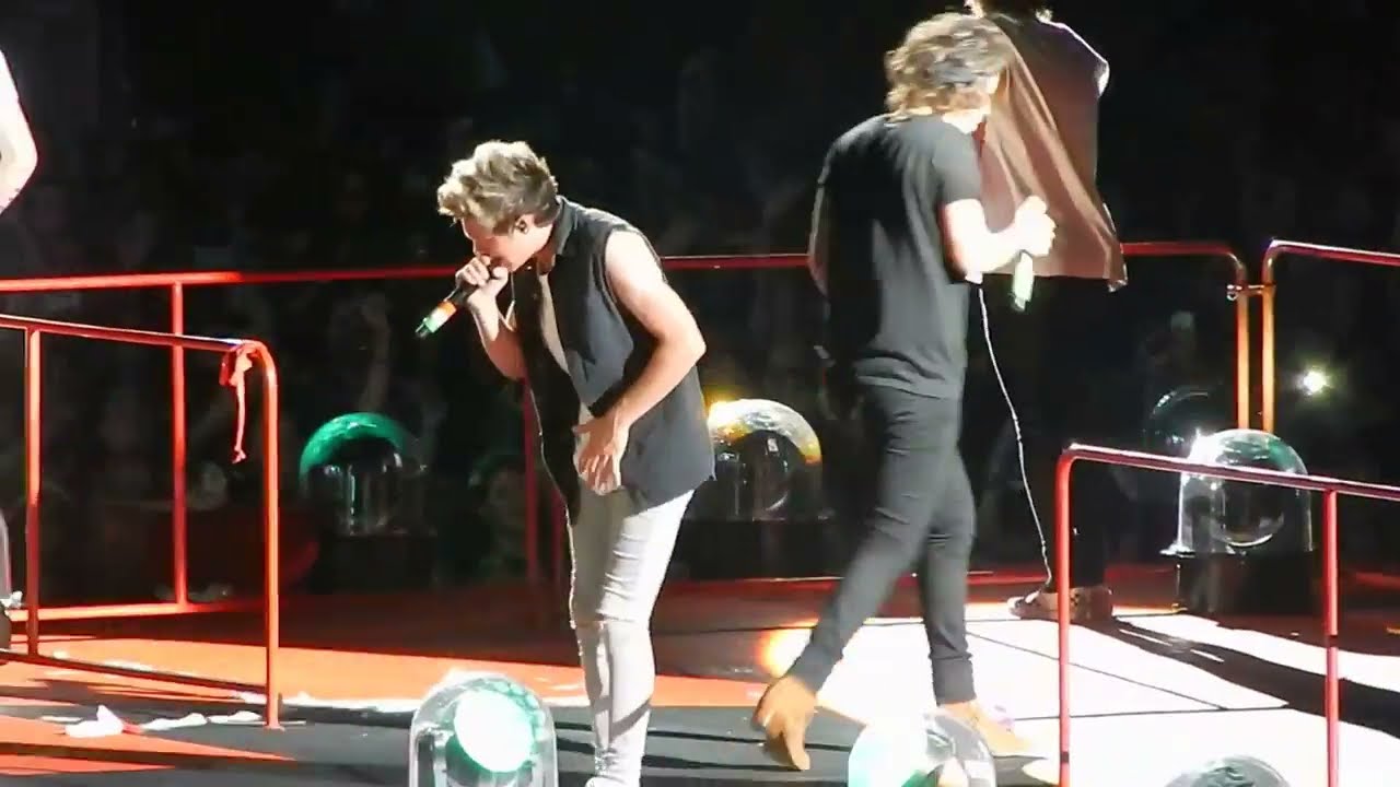 Diana - One Direction - Gillette Stadium 8-7-2014