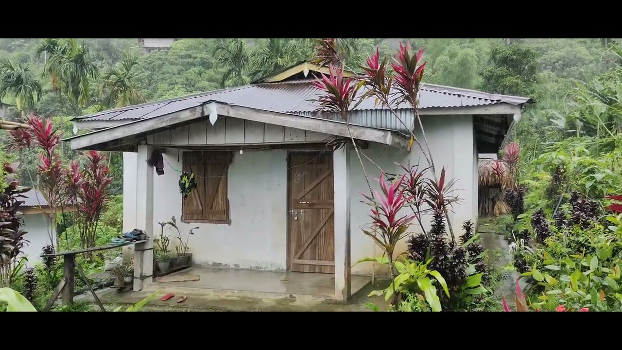 New tupi village 