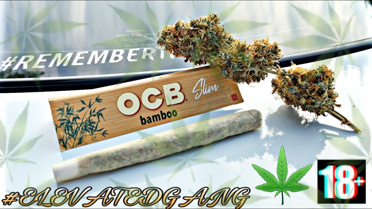 NEW OCB BAMBOO SLIM REVIEW!!!🎋💨