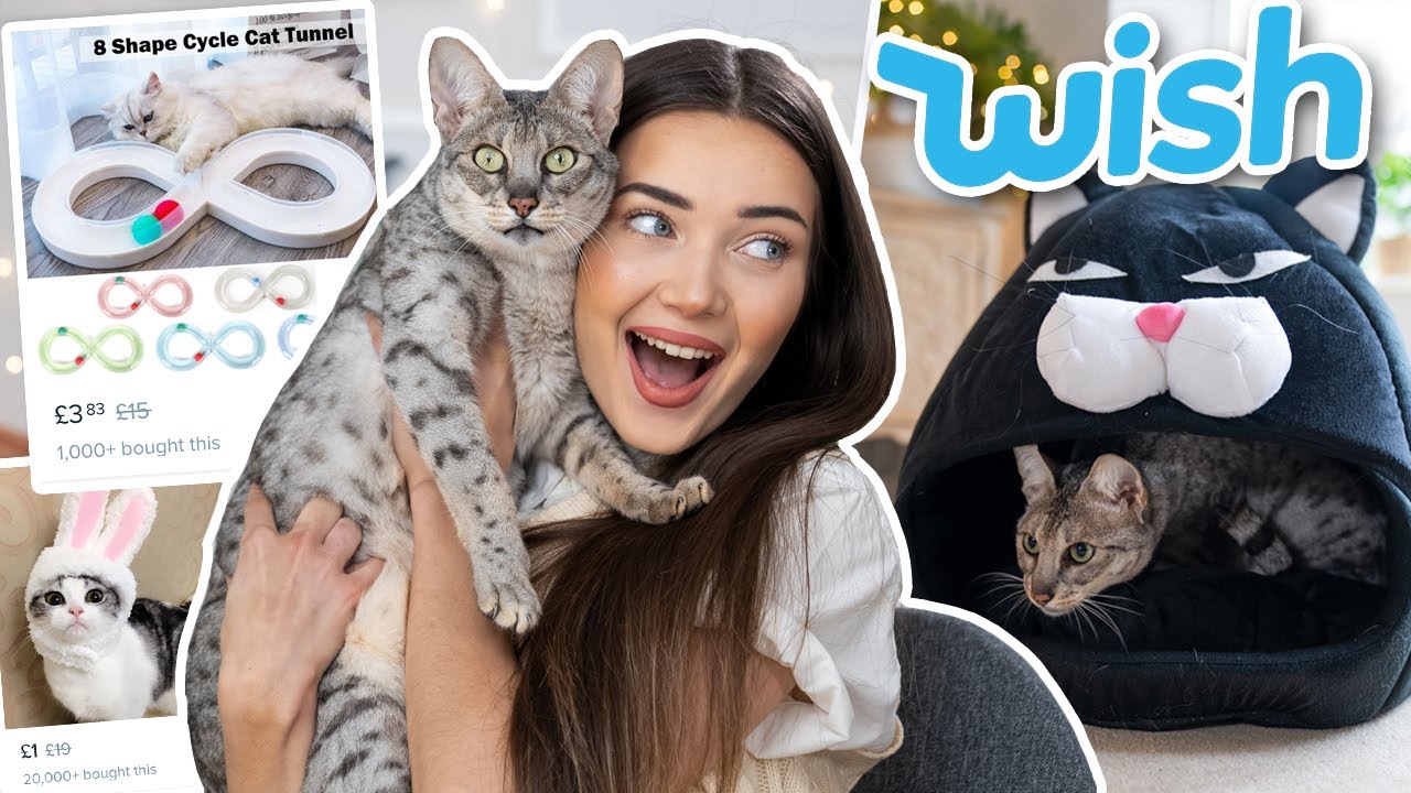 TRYING WEIRD CAT GADGETS FROM WISH! AD