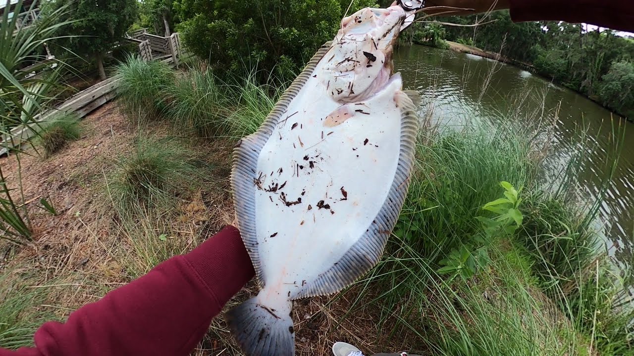 Secret Flounder Spot - Hilton Head Island