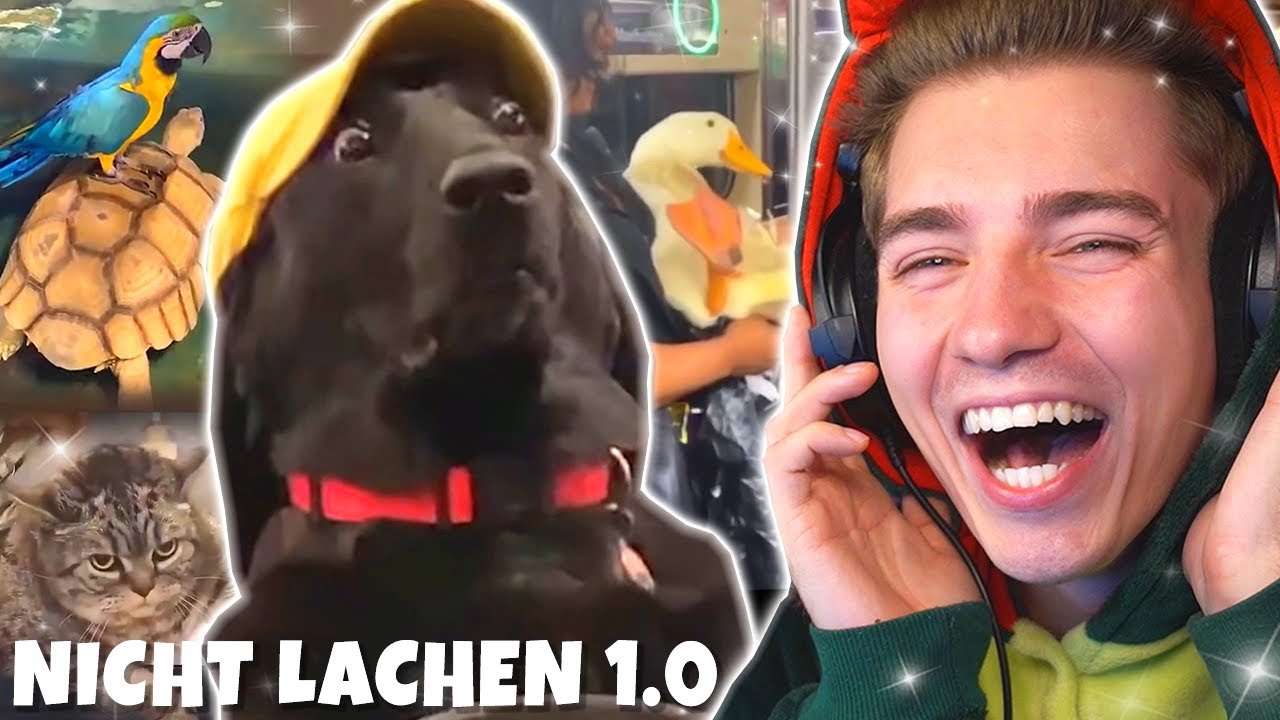 VERSUCHE NICHT ZU LACHEN 1.0