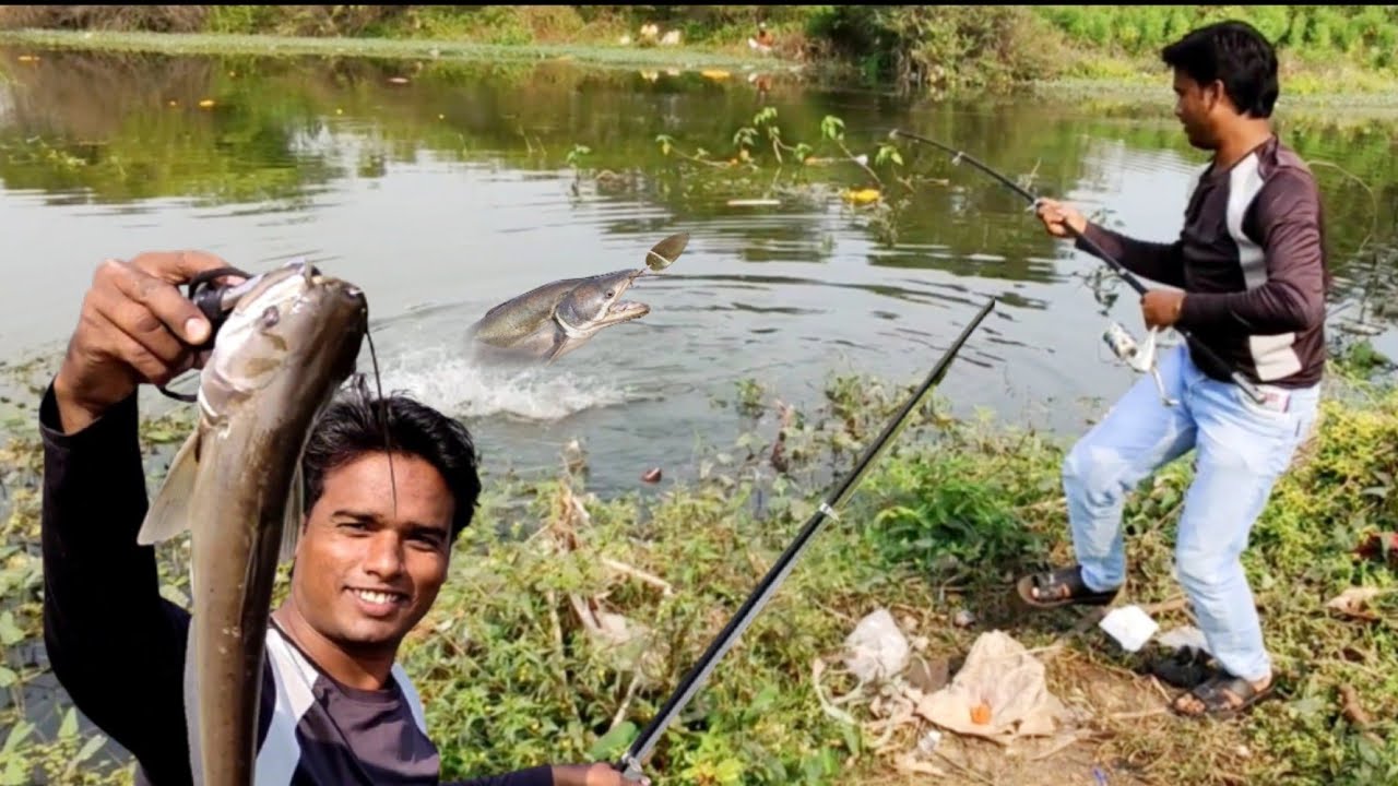 पटन फिश का जोरदार हमला || Back to back patan Fish hunting || Monster fish Atack || River fishing