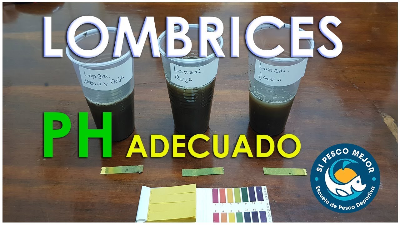 COMO MEDIR EL PH / LOMBRICES PARTE 5 !!!
