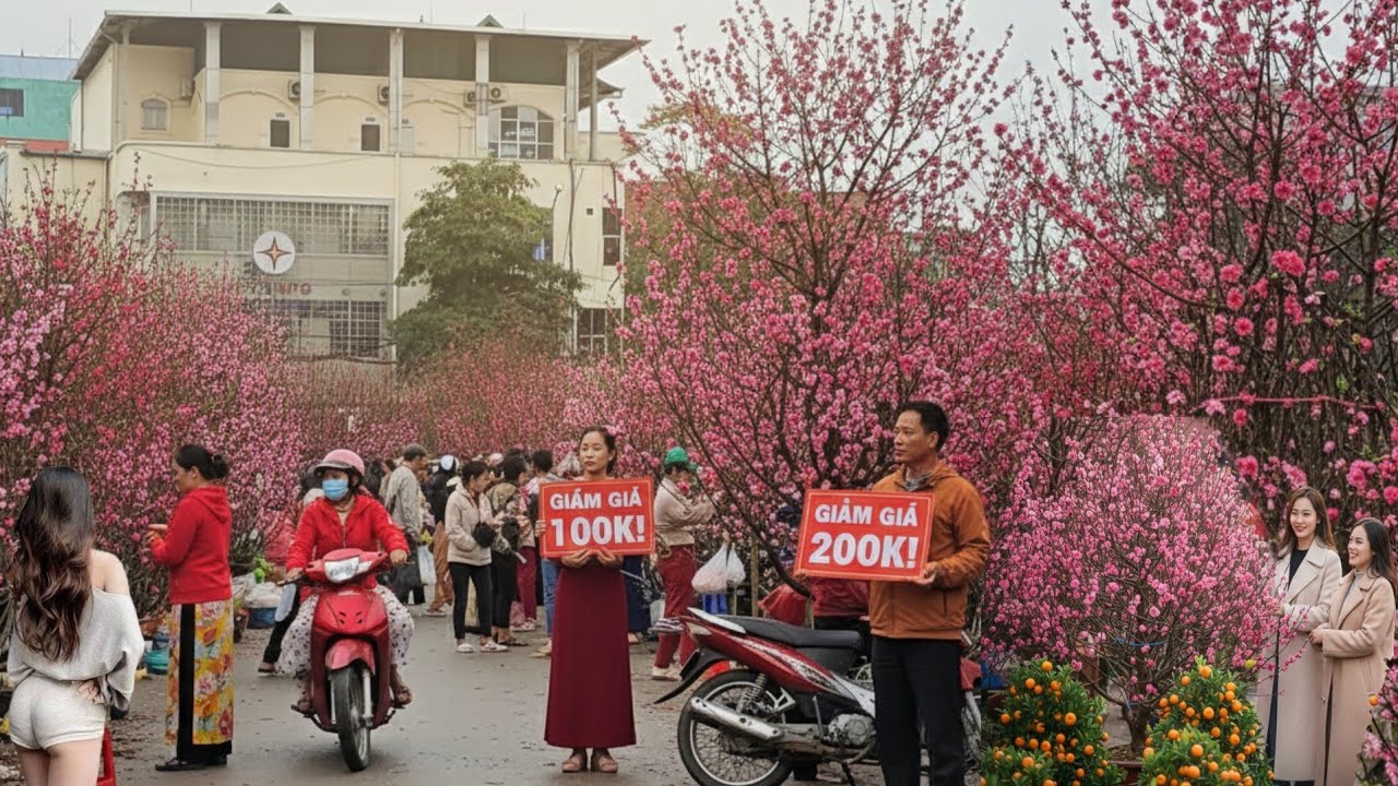 CHỢ TẾT Không Khí Tết Ngập Tràn Tại Chợ Hoa Đào Lạng Sơn – Xem Là Muốn Về Nhà Ngay