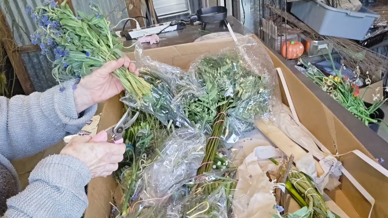 Fresh Flower Unboxing and Care I Do For All My Flower Deliveries