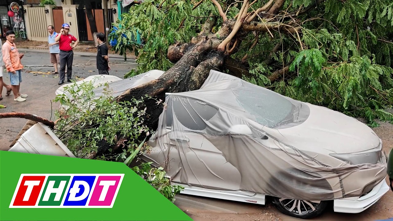 Phường Cao L&atilde;nh: Mưa lớn l&agrave;m c&acirc;y xanh bật gốc đ&egrave; tr&uacute;ng &ocirc; t&ocirc; | THDT