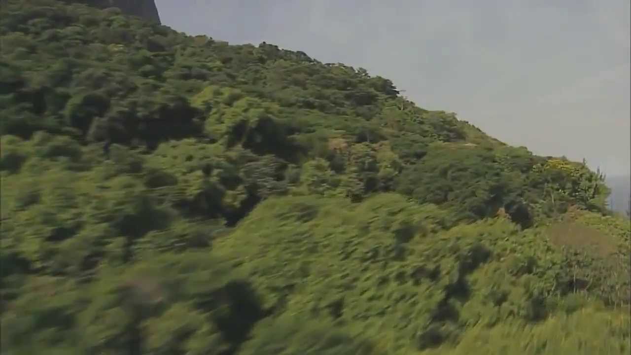 Video Promocional de Brasil, el País de la Samba.