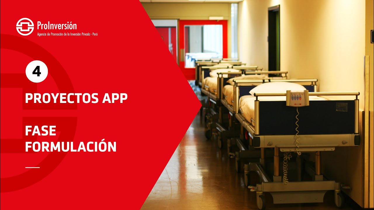 Fase de Formulación de las Asociaciones Público-Privadas y Proyectos en Activos | Curso Virtual