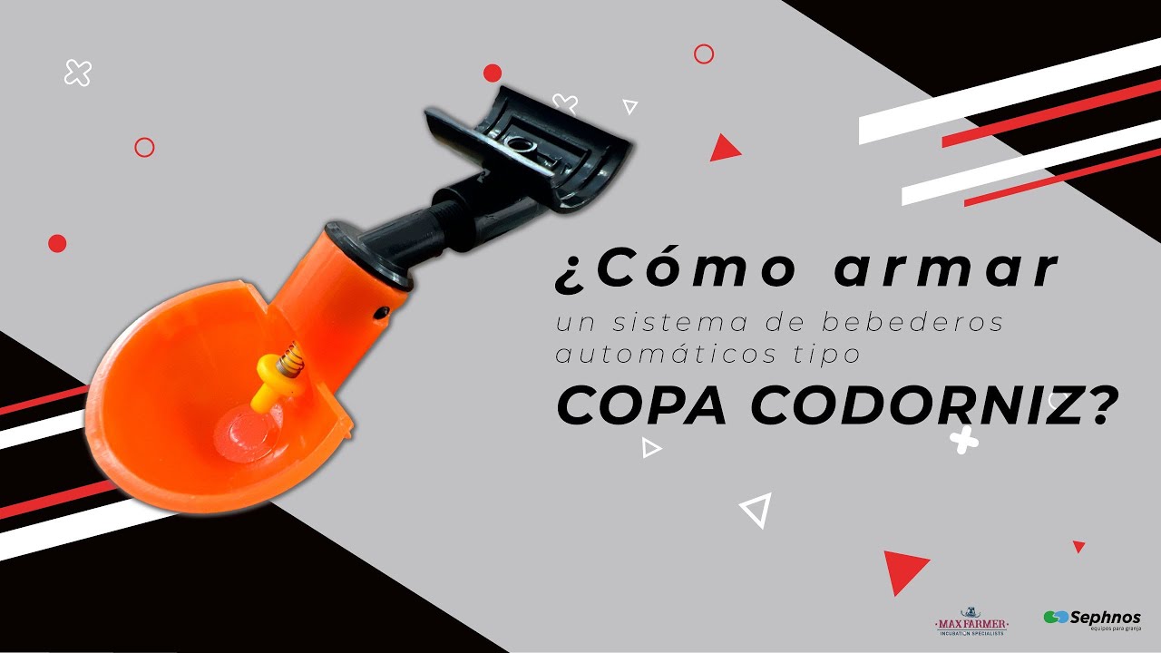 ¿Cómo armar un sistema de bebederos automáticos tipo copa codorniz? De la marca SEPHNOS