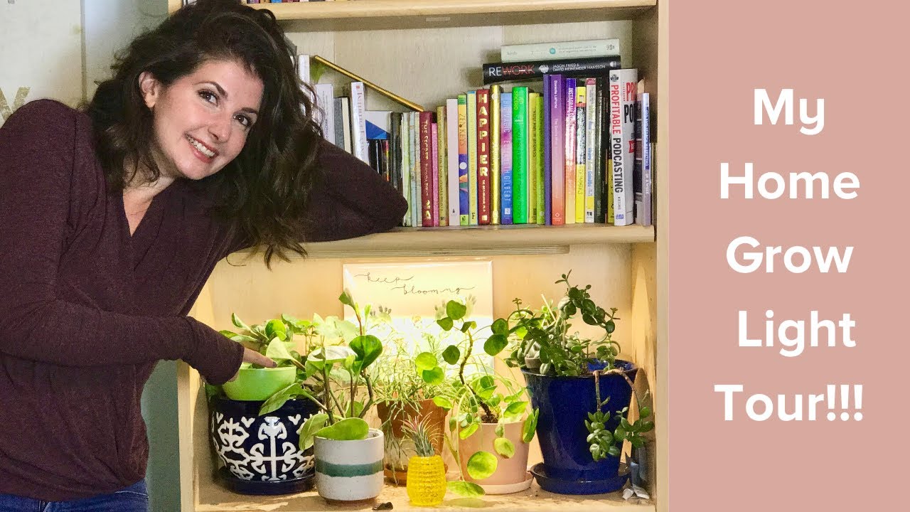 My Home Grow light Tour! // NYC Apartment with 5 grow lights you'd never notice!