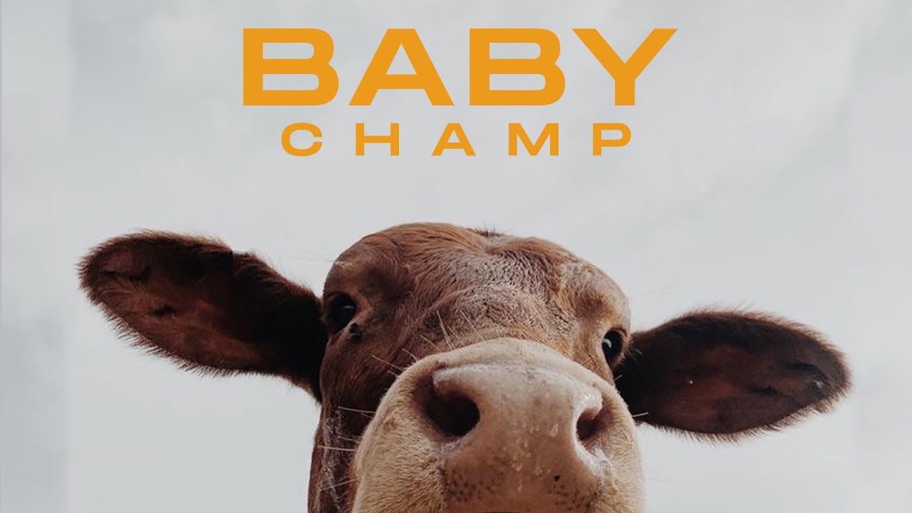 CHAMP - BABY