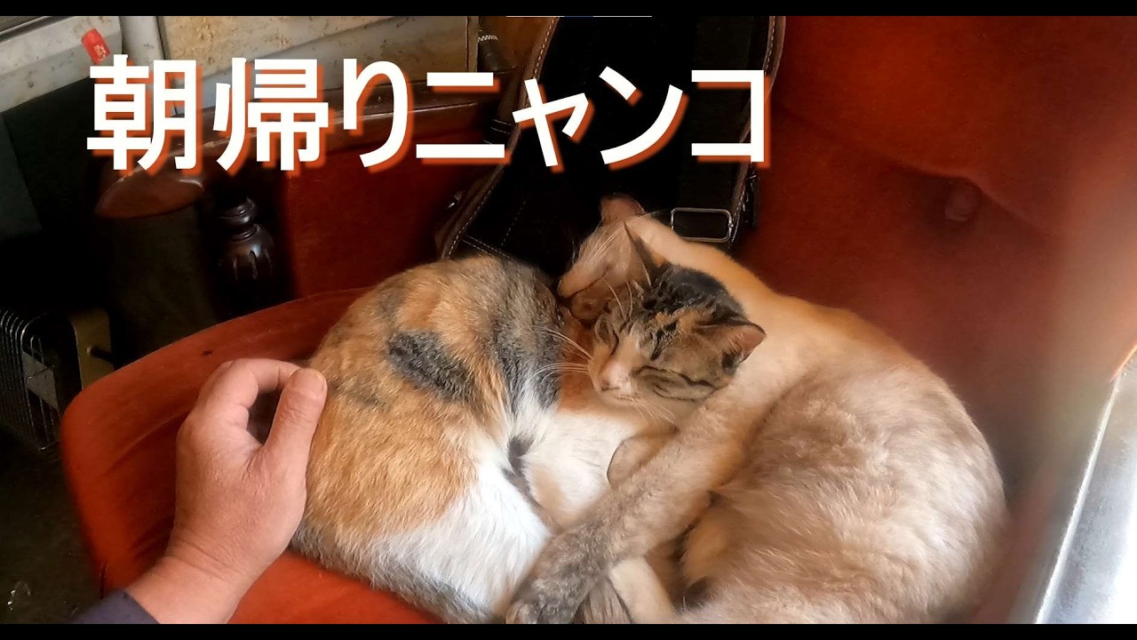 【バレンタインデー】15年ぶりに貰った親父