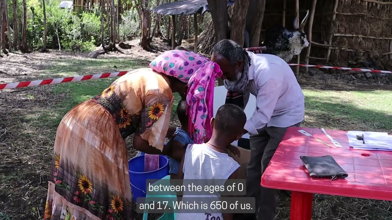 Humanitarian crisis in IDP camps in South Wollo zone (Haik area) of Amhara region,