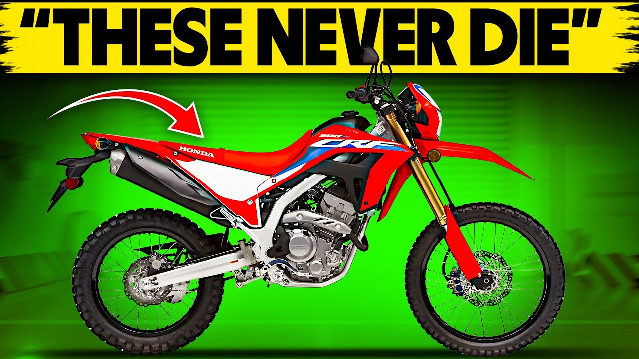 12 Honda Motorcycles That Never Break! Most Reliable Bikes Ever Made!