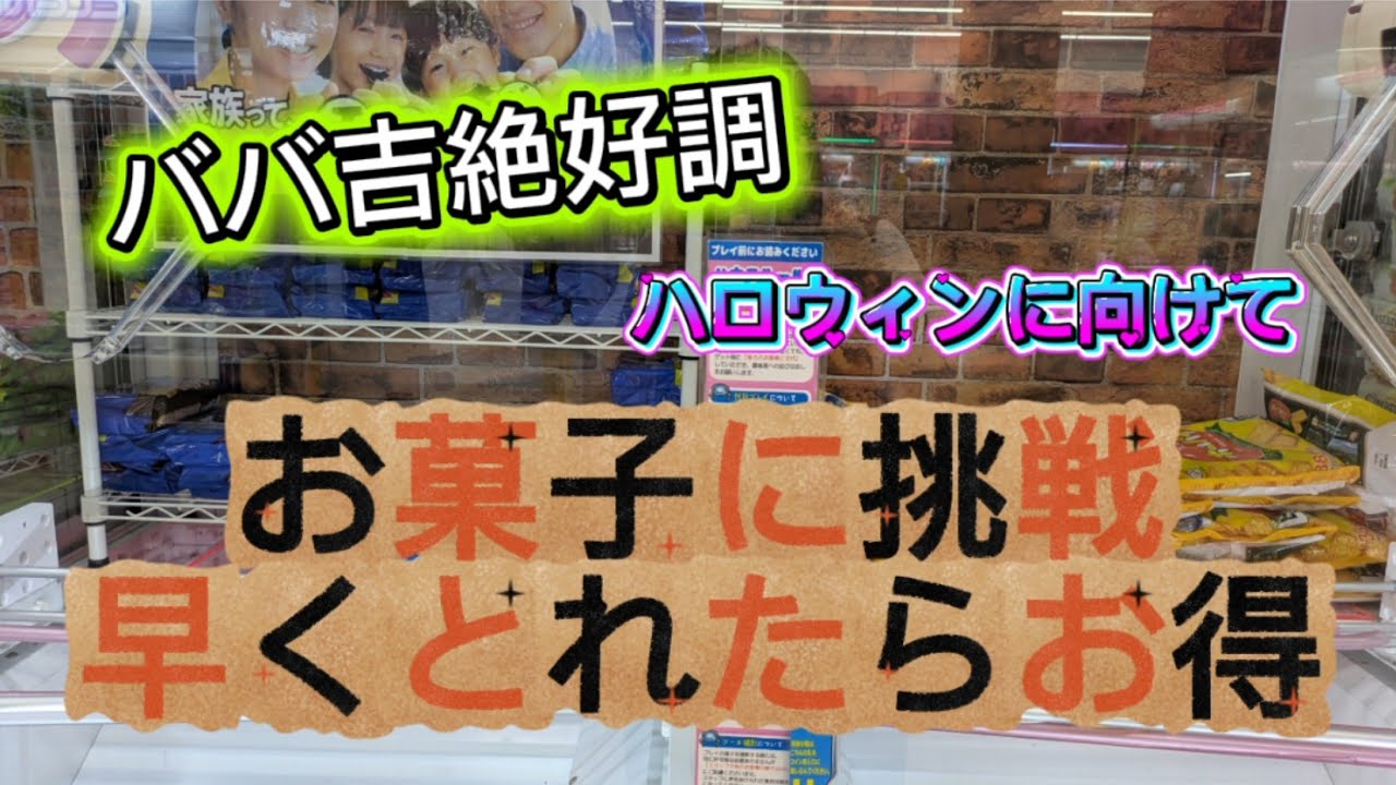 ［回遊館］ババ吉絶好調 🎃ハロウィンに向けてお菓子をとる👻
