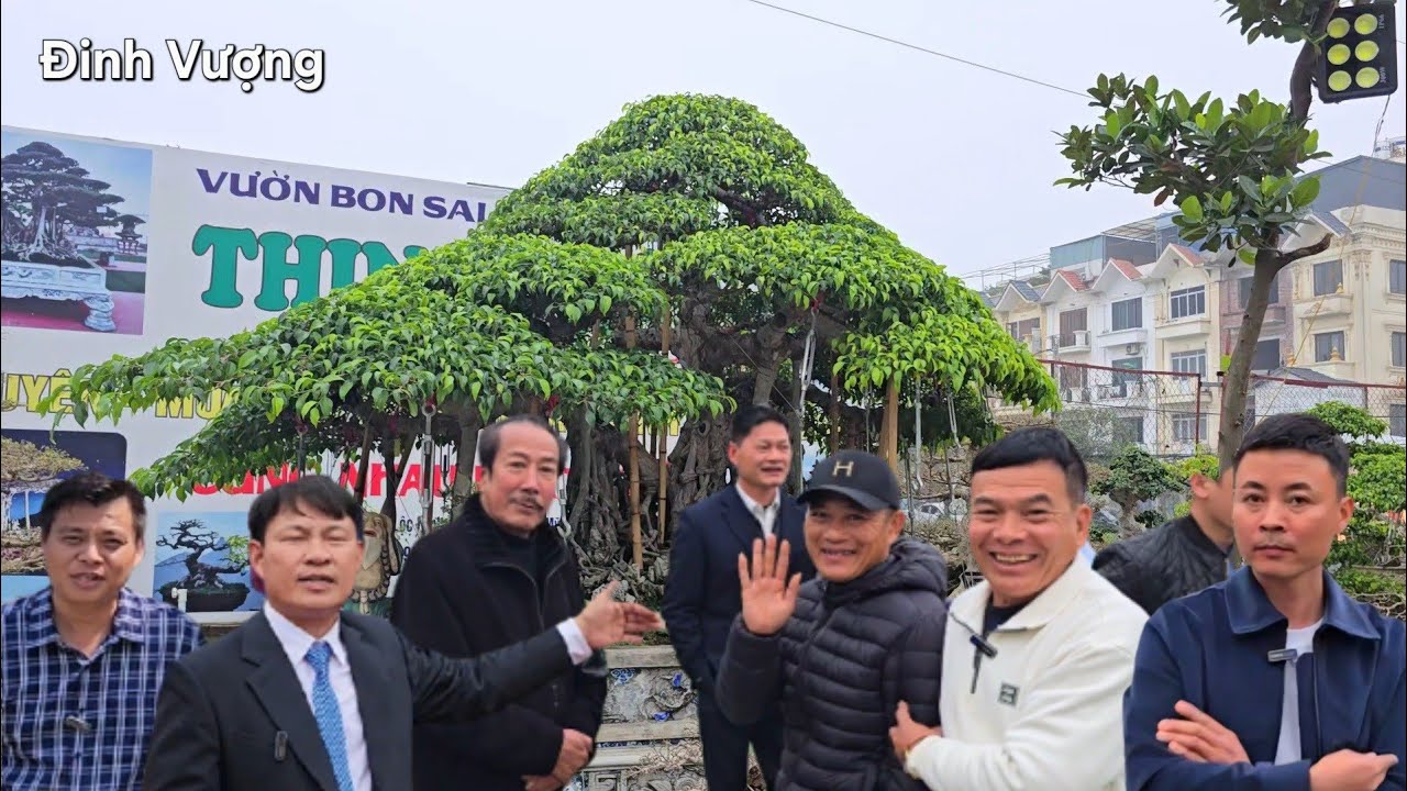 Hội cây cảnh Chương Mỹ Hà Đông quá mạnh mẽ 