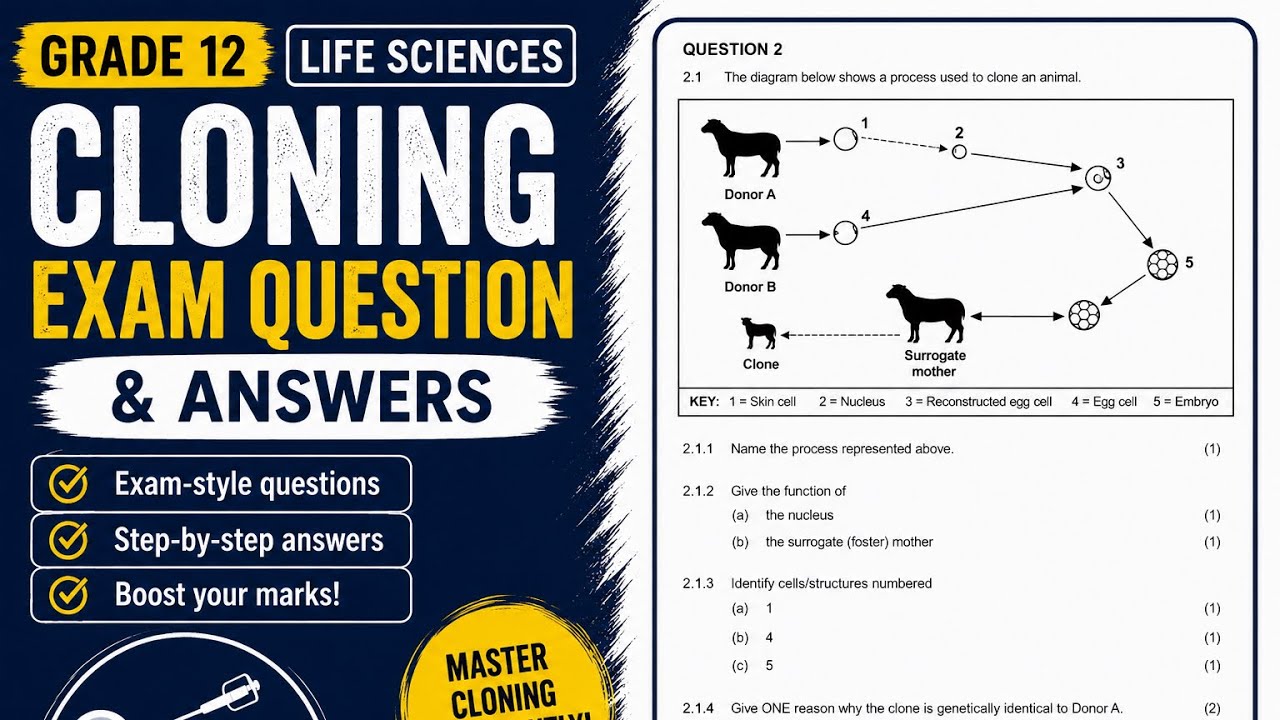 Grade 12 Cloning Exam Question (Answered) | Genetics | GMO's | Life Science