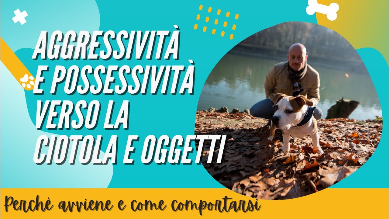 Aggressività e Possessività con Oggetti e Ciotola