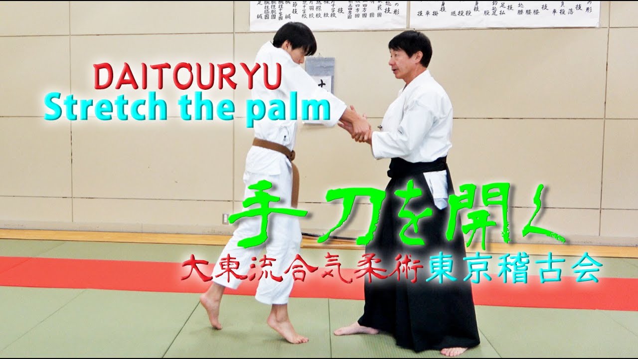 【極意】一挙動で攻撃を止める🖐️手のひらを開いて相手を無力化する不思議な技法！東京稽古会327　手刀を開く　大東流合気柔術