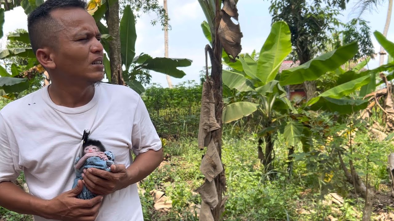 seeing the monkey rehabilitation area with baby parker monkeys