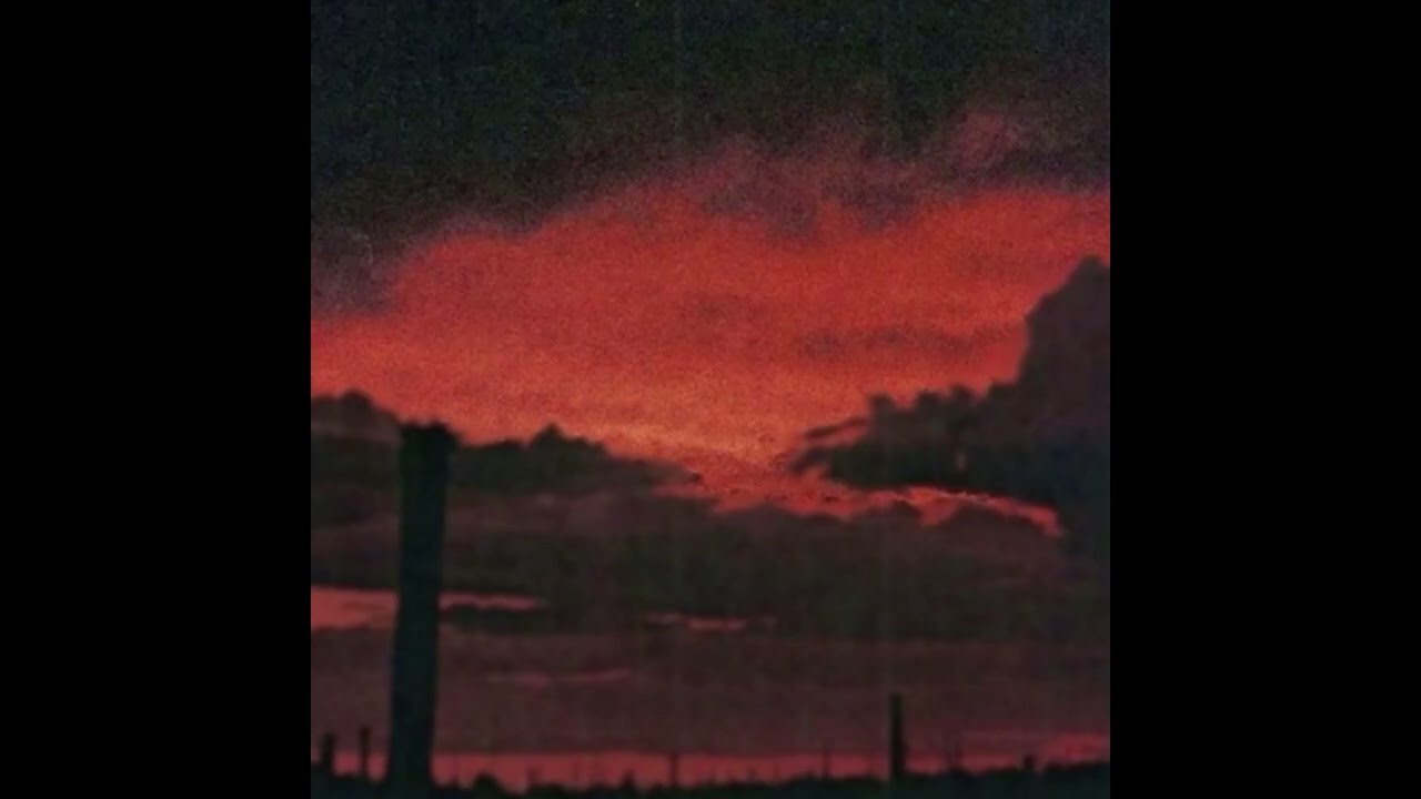 Finderfail - Selevirum