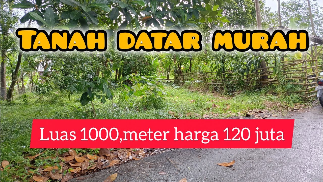Dijual tanah kebun full datar akses mobil cocok buat bangun rumah dan villa 