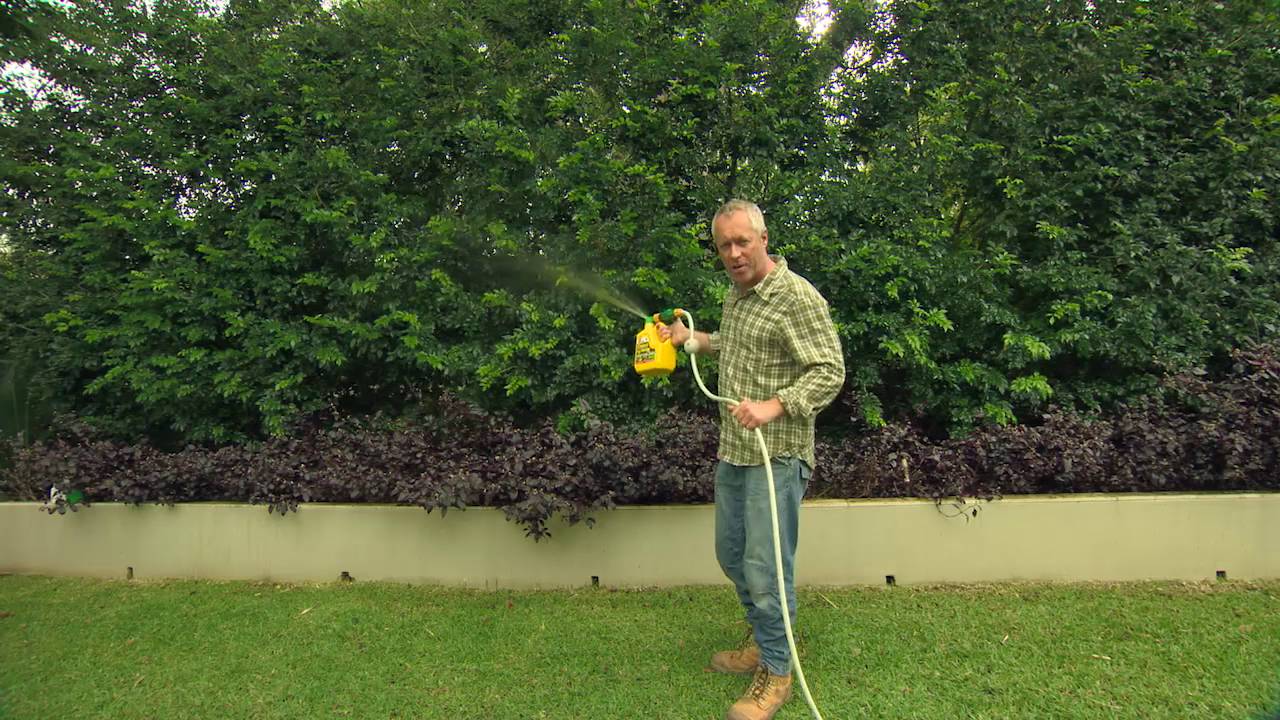 The Garden Gurus - Seasol with Powerfeed