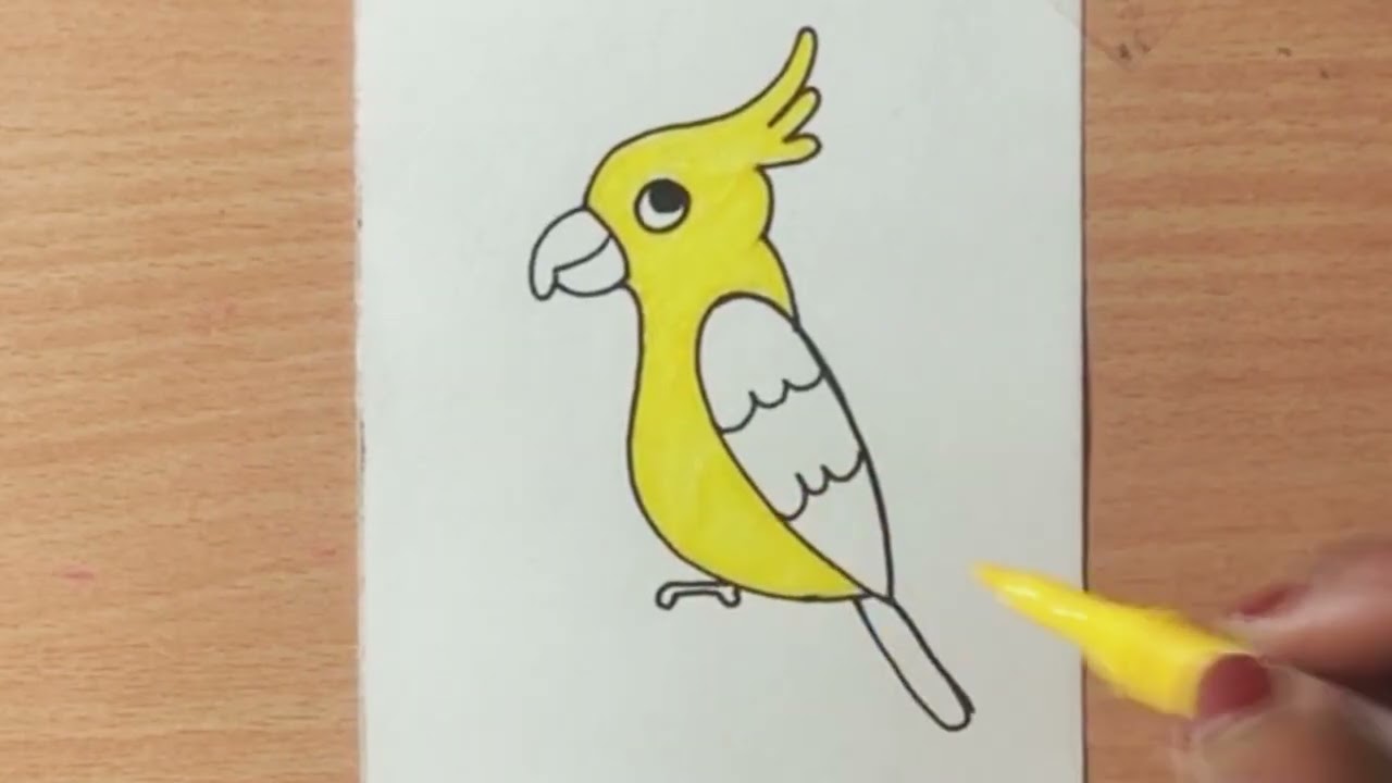 How to draw cute bird 🐦 || Easy drawing step by step 