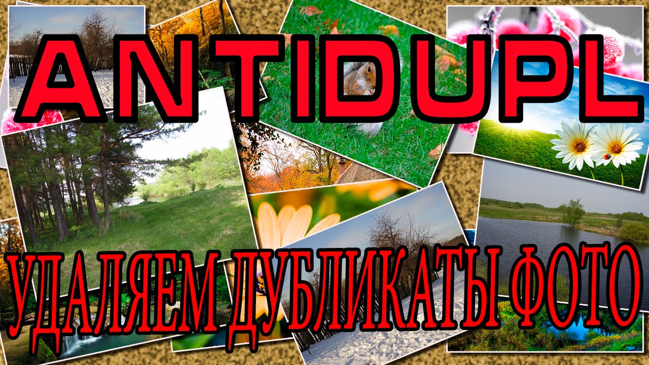 AntiDupl поиск похожих изображений на компьютере.