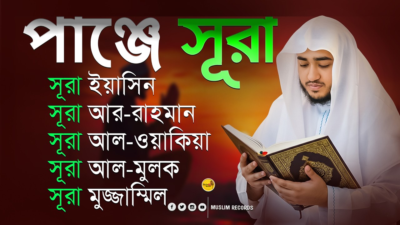 কলিজা জুড়ানো পাঞ্জে সূরা তিলাওয়াত - মায়াবী সুর | ৫টি ফজিলতপূর্ণ সূরা | 5 Surah - Qari Abu Rayhan