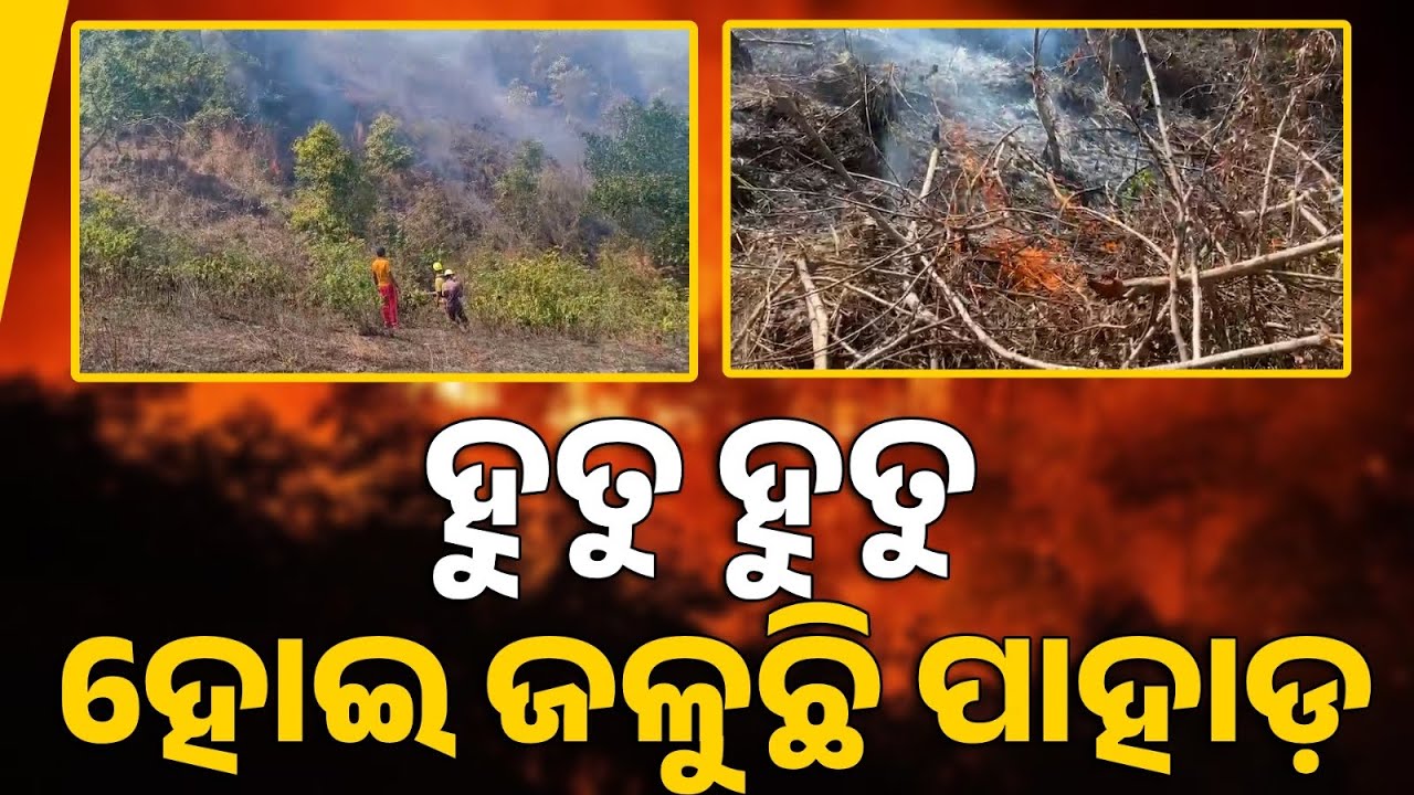 Koraput Forest Fire: Visuals of Fire Engulfing Mountain Near City Outskirts || Sambad 